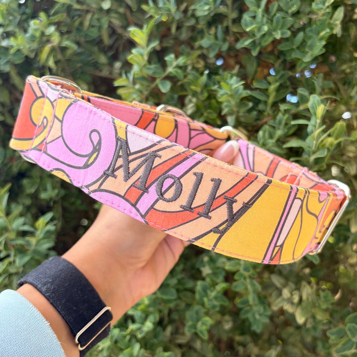 Martingale Collar - Retro Radiance