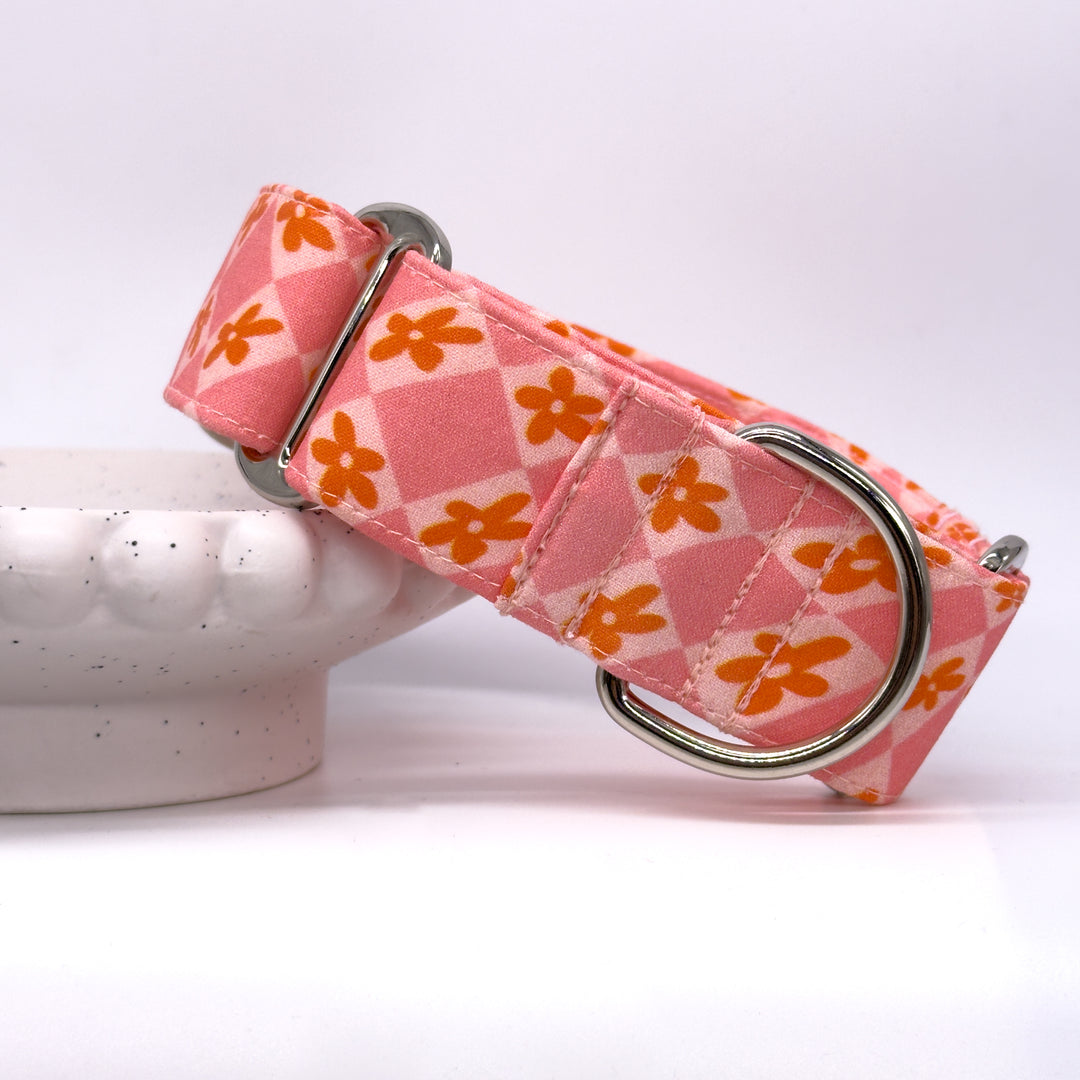 Martingale Collar - Peach Blossom Serenade