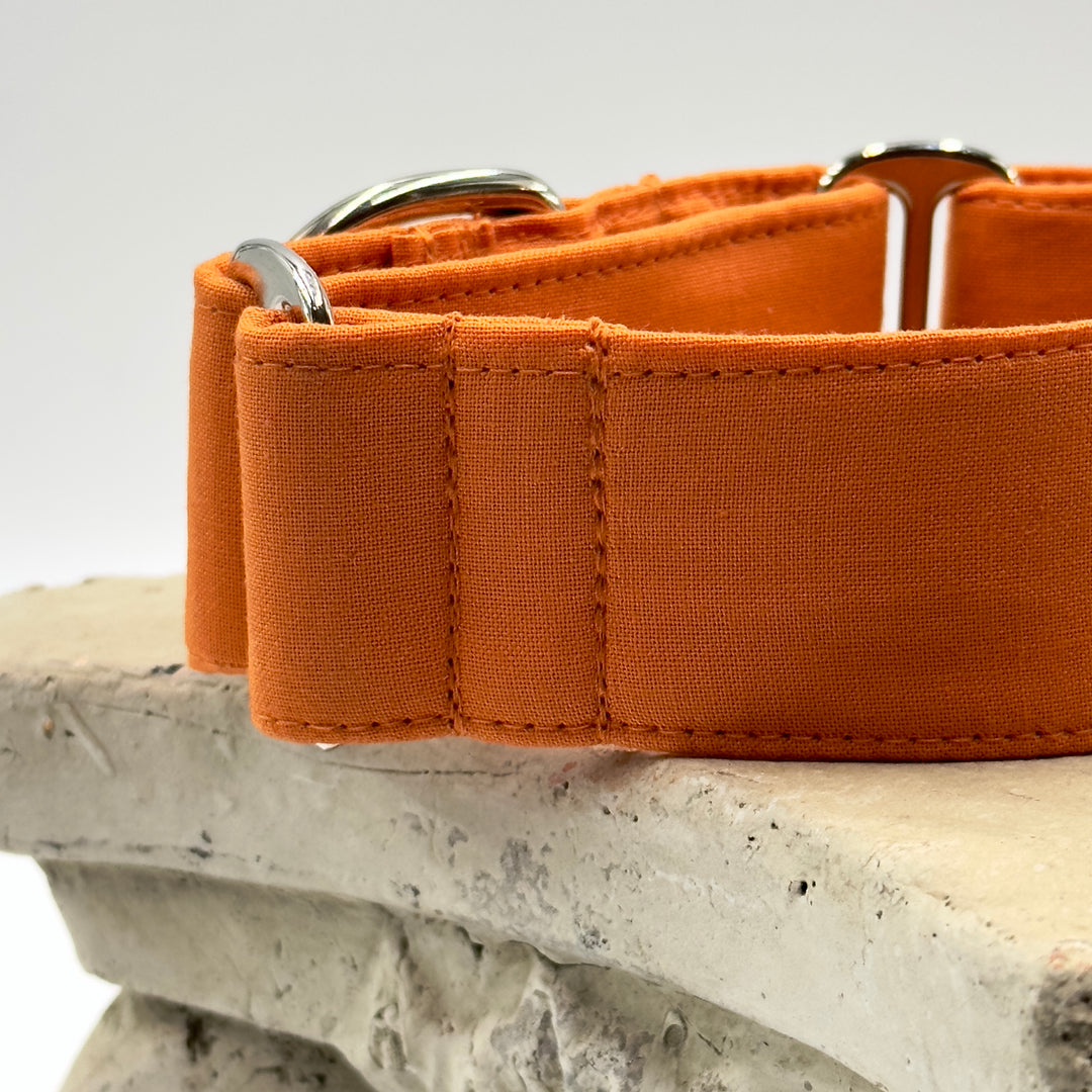 Martingale Collar - Autumn Blaze