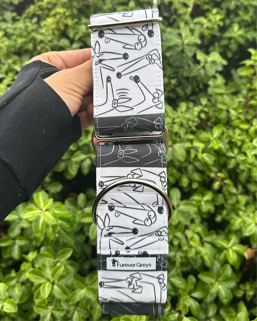 Martingale Collar - Magic's Monochrome Masterpiece