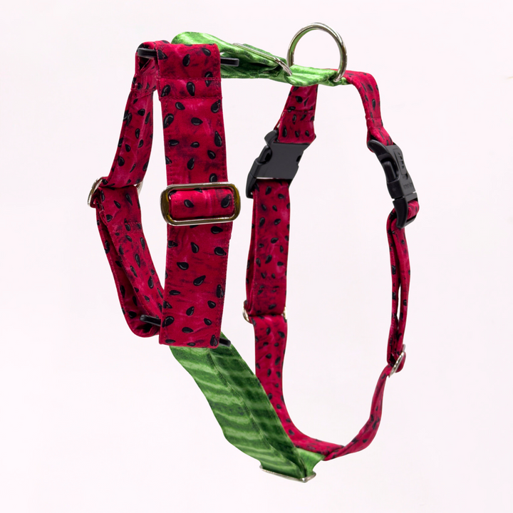 Palestine Watermelon Whisper Harness