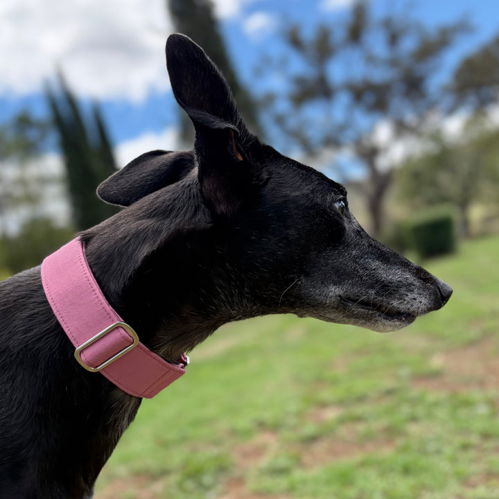 Martingale Collar - Dusty Rose