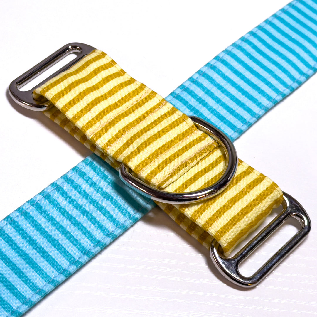 Design Your Collar - Spectrum Stripes Custom Martingale