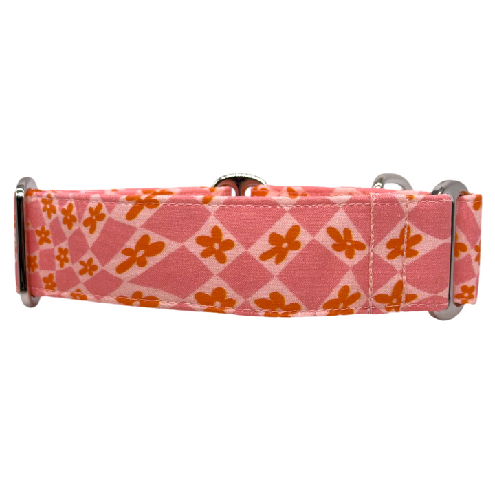 Martingale Collar - Peach Blossom Serenade