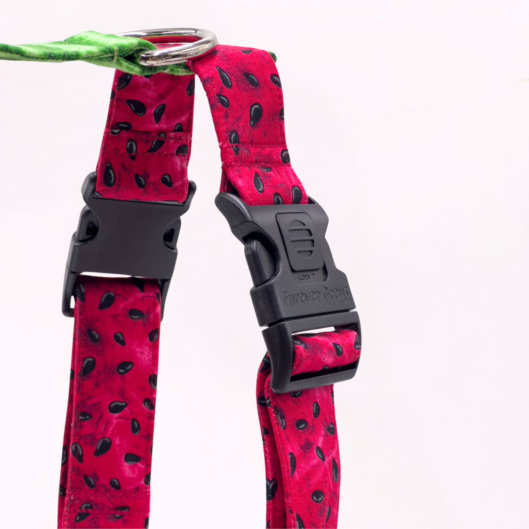 Palestine Watermelon Whisper Harness