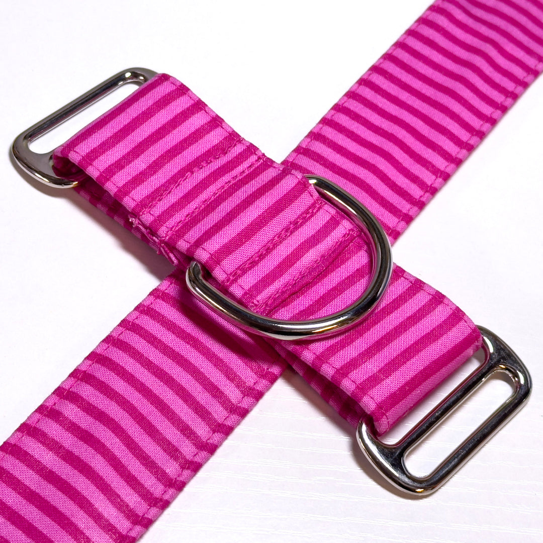 Martingale Collar - Bubblegum Bash Stripes