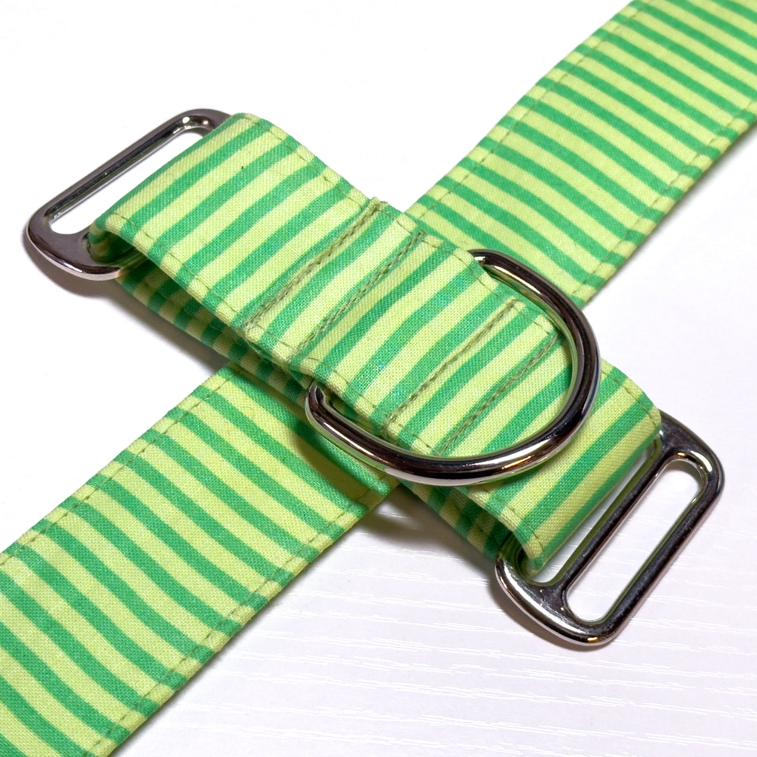 Design Your Collar - Spectrum Stripes Custom Martingale