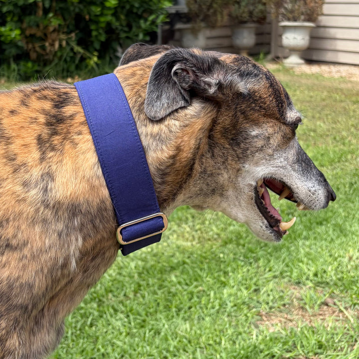 Martingale Collar - Classic Navy