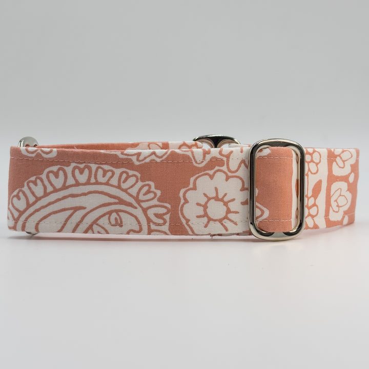 Martingale Collar - Paisley Petal