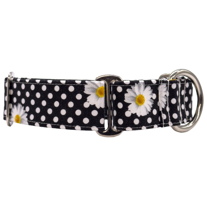 Martingale Collar - Polka Petal Elegance