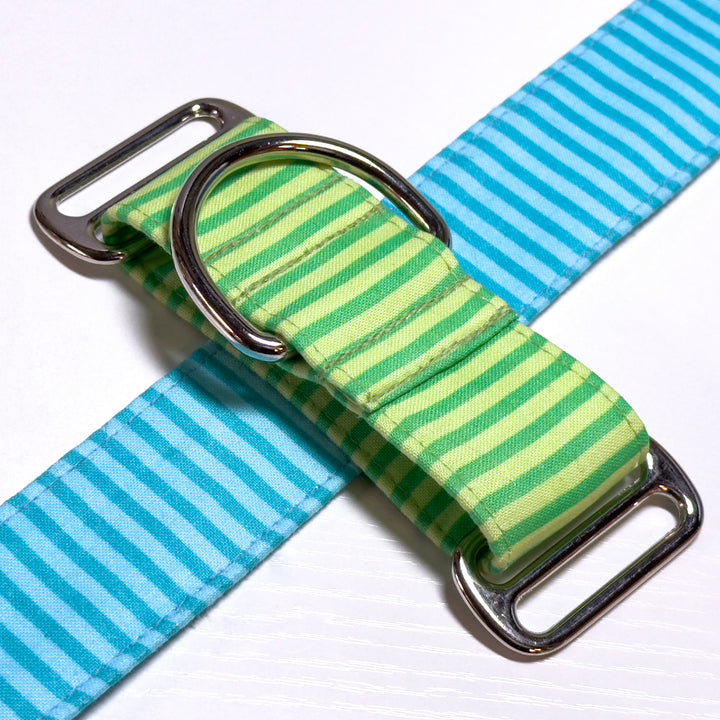 Design Your Collar - Spectrum Stripes Custom Martingale