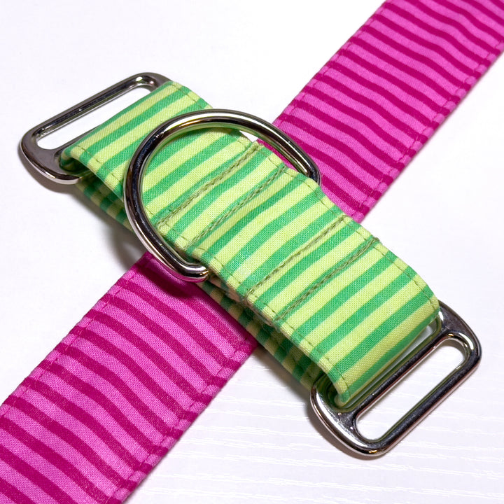 Design Your Collar - Spectrum Stripes Custom Martingale