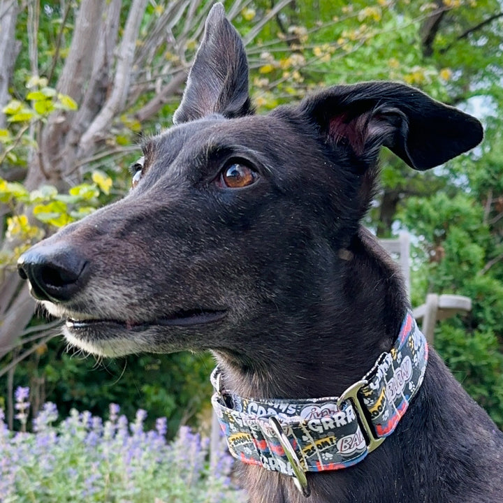 Martingale Collar - Comic Canine Cues