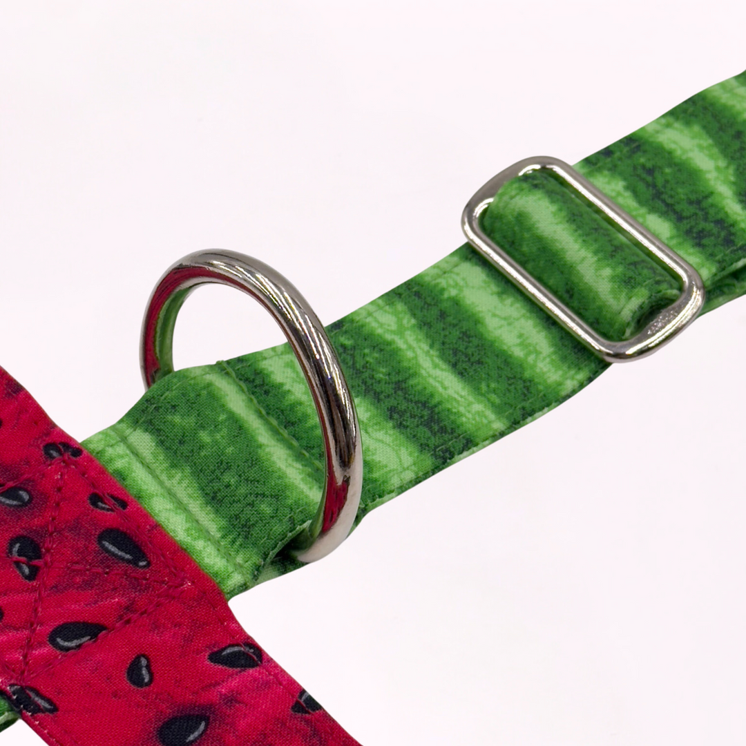 Palestine Watermelon Whisper Harness