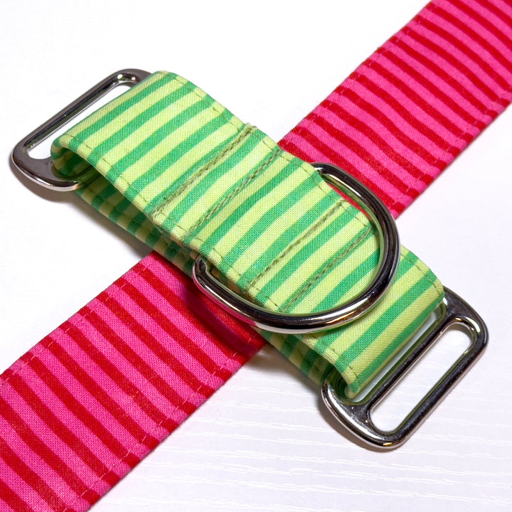 Design Your Collar - Spectrum Stripes Custom Martingale