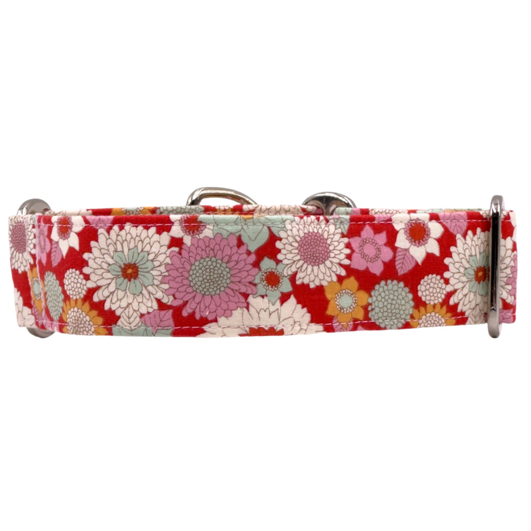 Martingale Collar - Floral Mosaic Scarlet