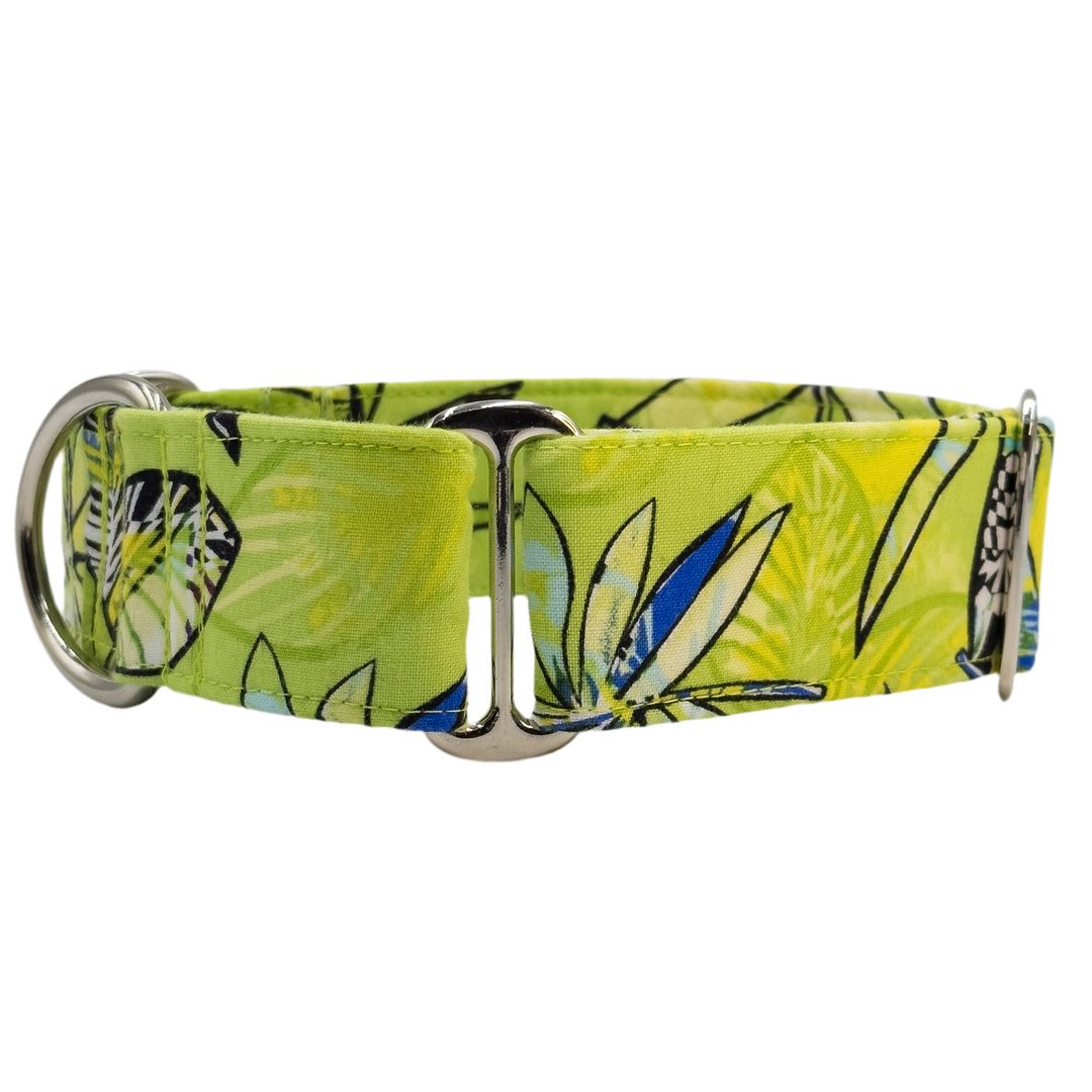 Martingale Collar - Tropical Splice