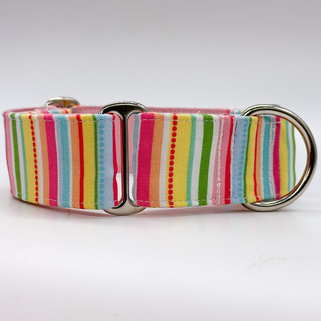 Martingale Collar - Pastel Paradise