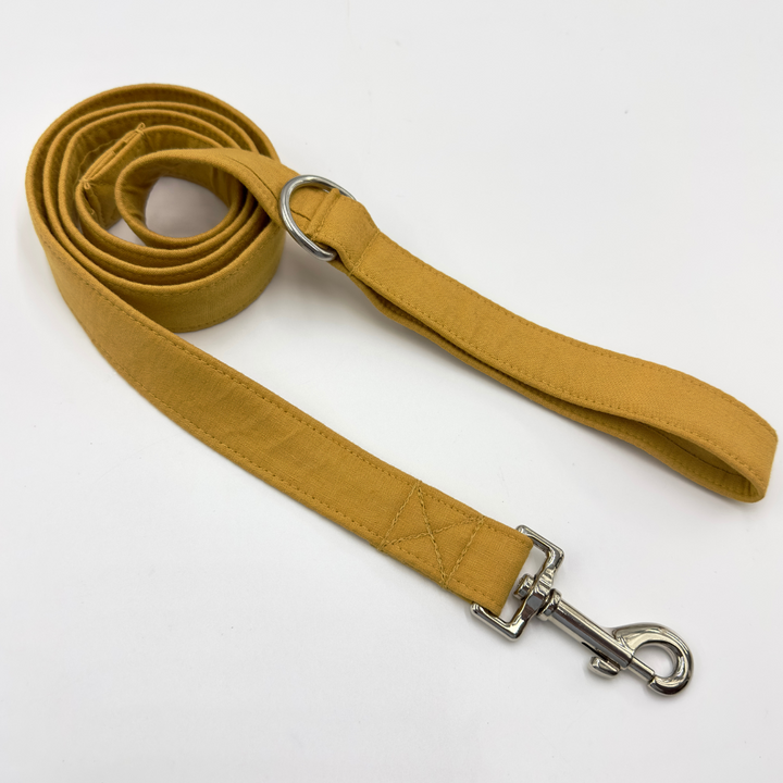 Martingale Collar - Golden Harvest