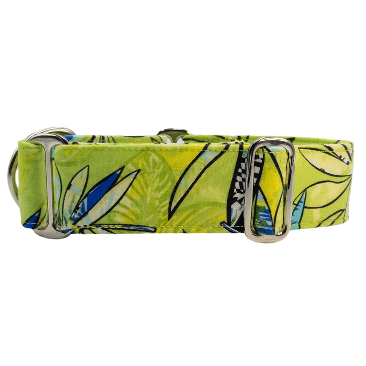 Martingale Collar - Tropical Splice