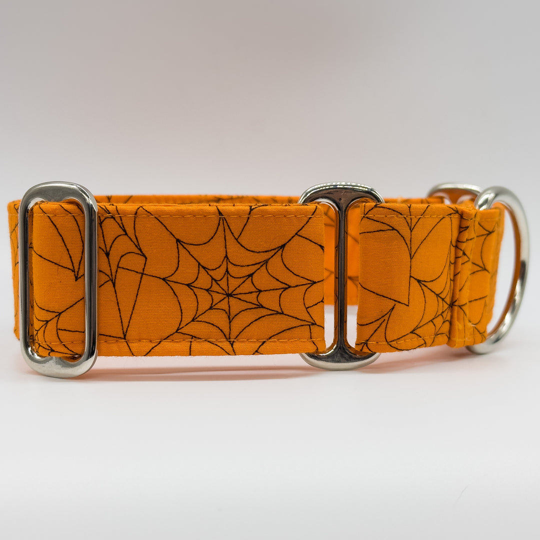 Martingale Collar - Spooky Web