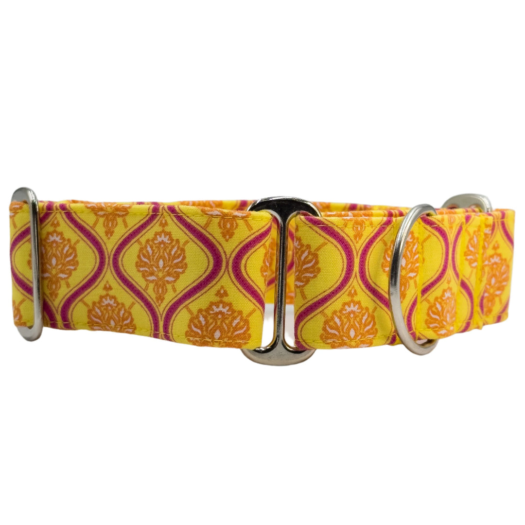 Martingale Collar - Tropic-Floral Tango