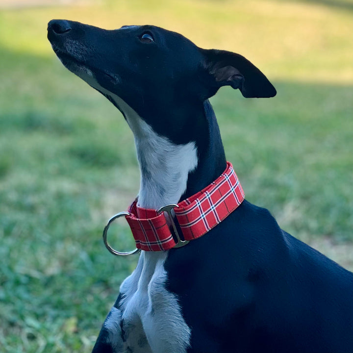 Martingale Collar - Holiday Tartan Twist