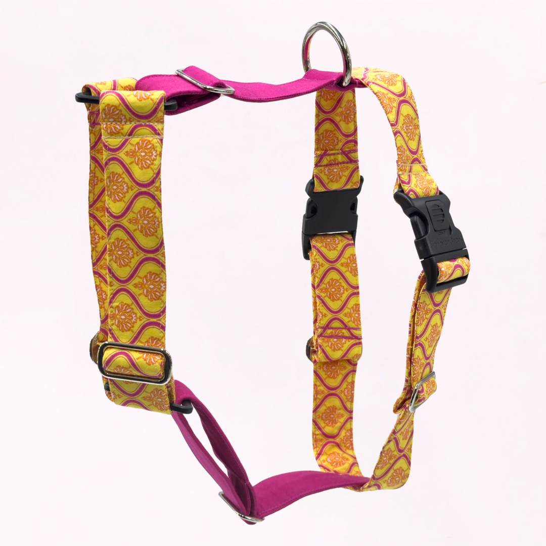 Sunny Magenta Greyhound Harness