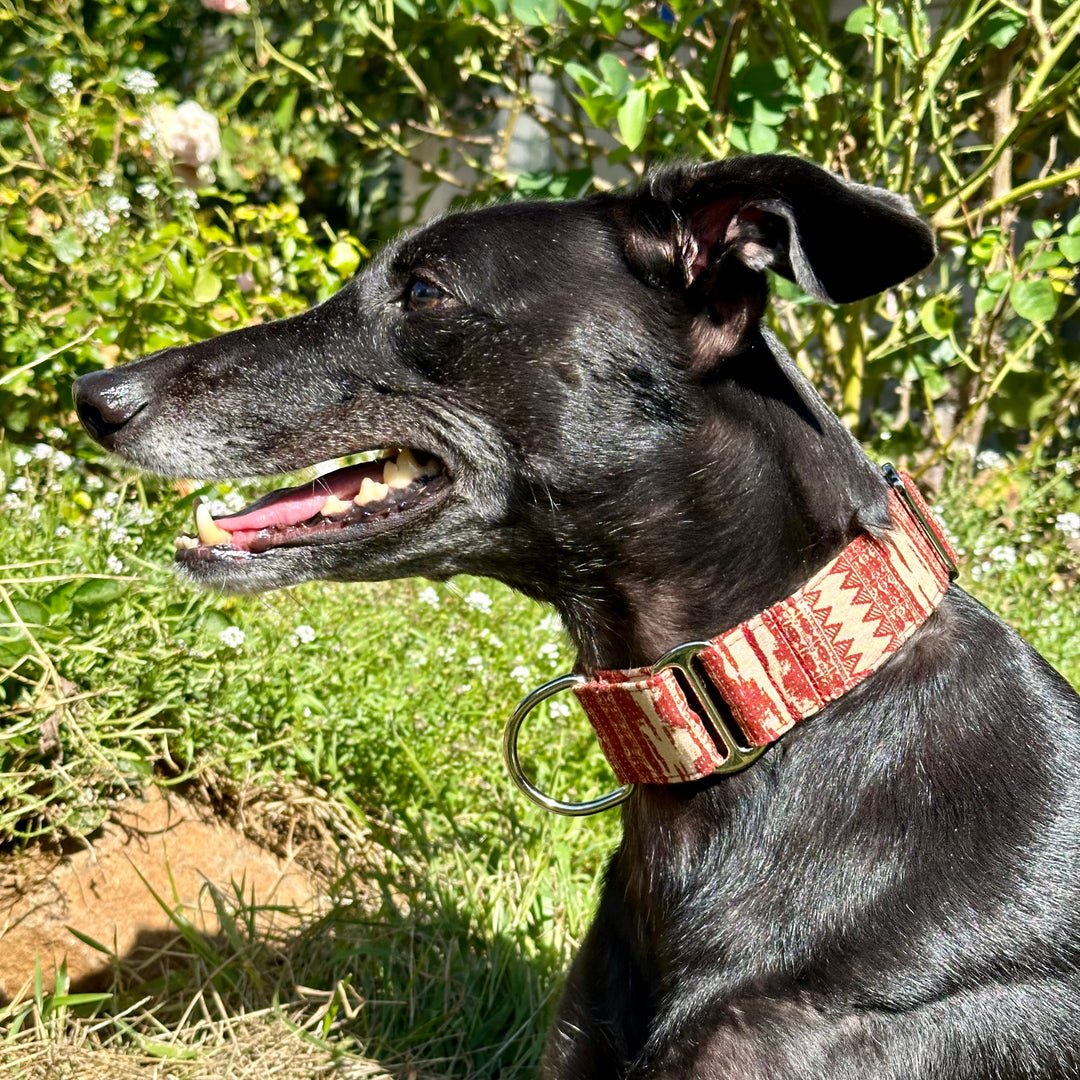 Martingale Collar - Desert Dusk