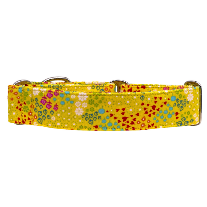 Martingale Collar - Sunsplash Blossom