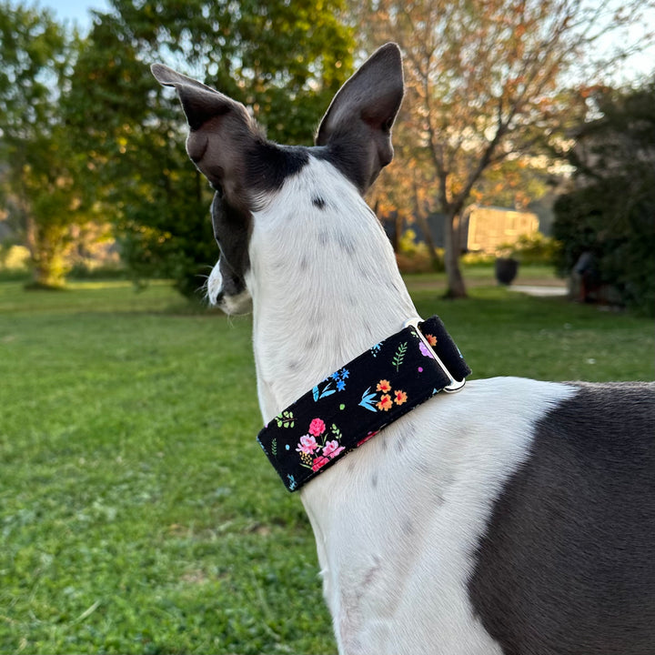 Martingale Collar - Midnight Garden