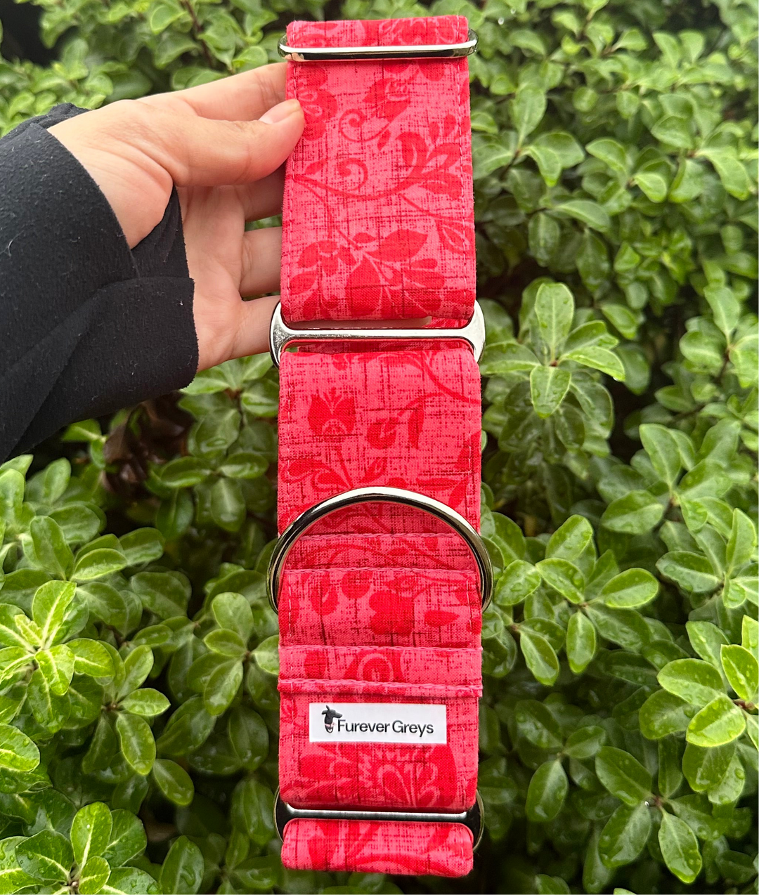 Martingale Collar - You're So Vine!