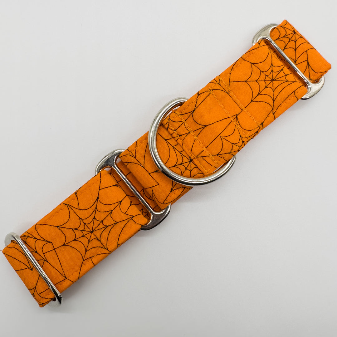 Martingale Collar - Spooky Web