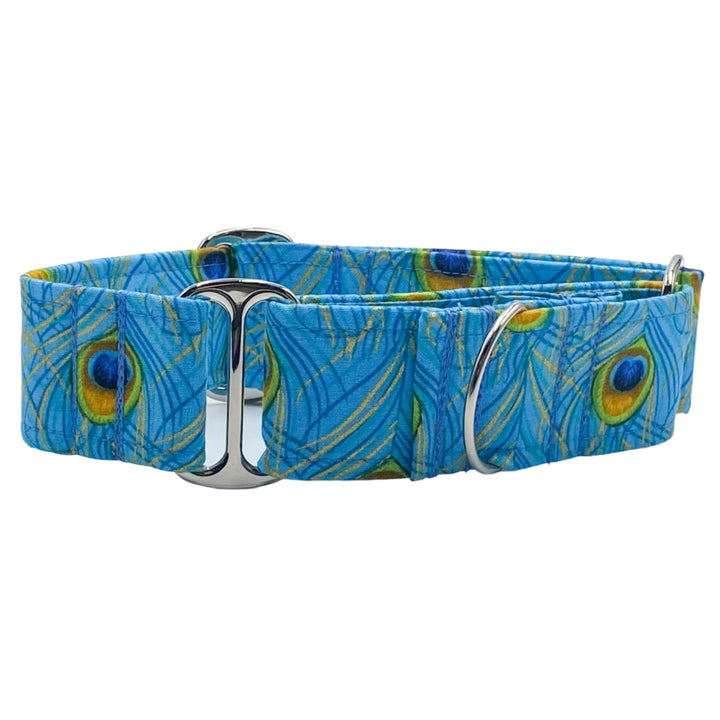 Front View of Peacock Turquoise Martingale Collar