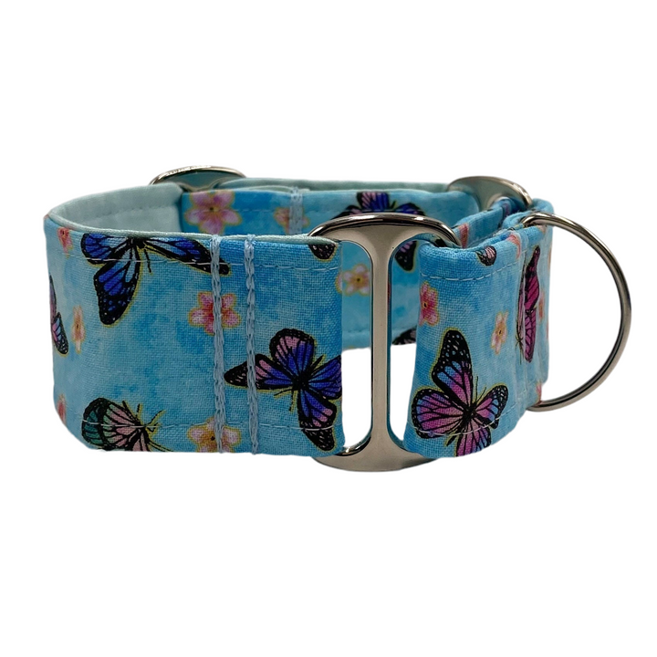 Martingale Collar - Ulladulla Blue Butterfly