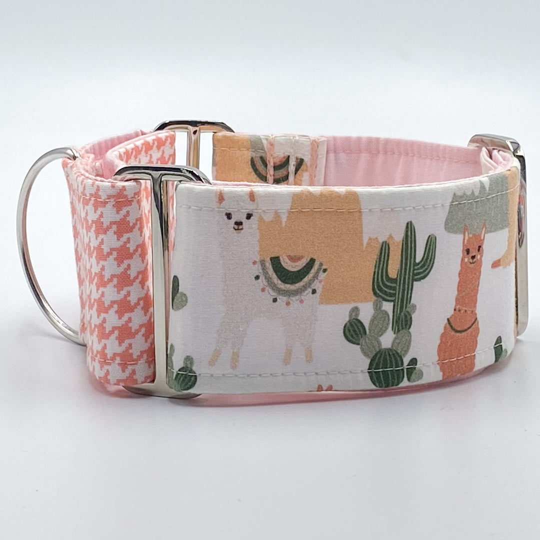 Martingale Collar - Peachy Llama Love Martingale Collar