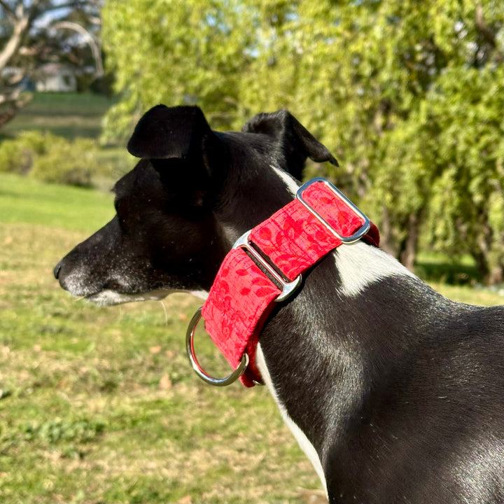 Martingale Collar - You're So Vine!