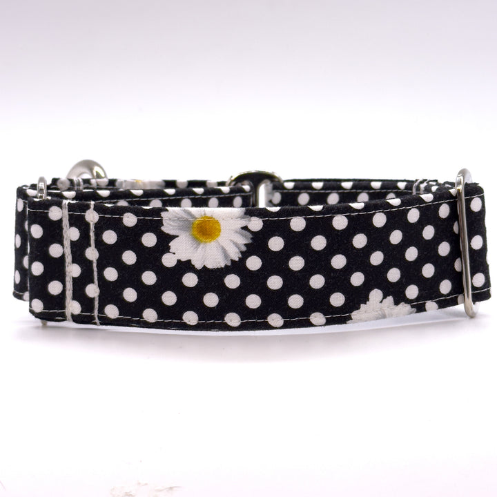 Martingale Collar - Polka Petal Elegance