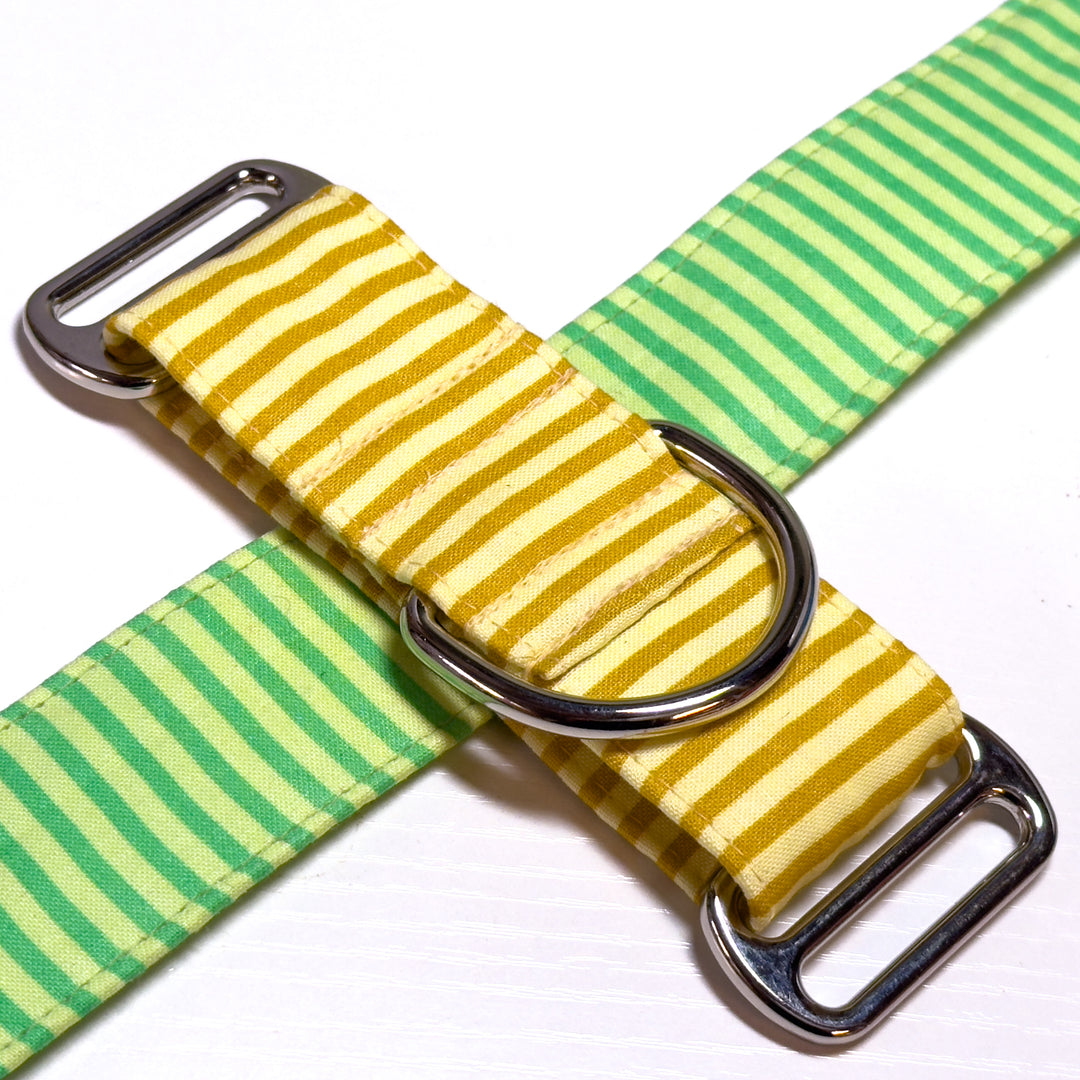 Design Your Collar - Spectrum Stripes Custom Martingale