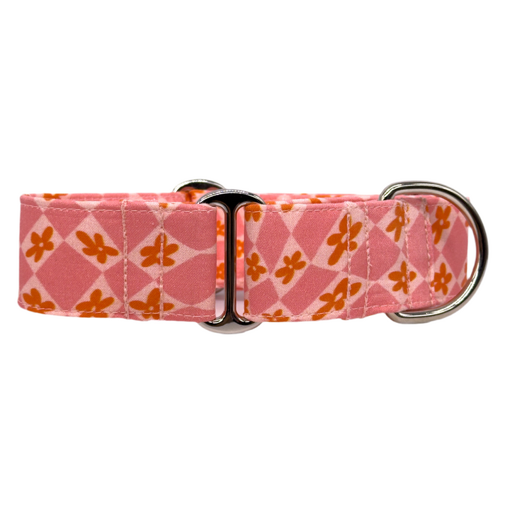 Martingale Collar - Peach Blossom Serenade