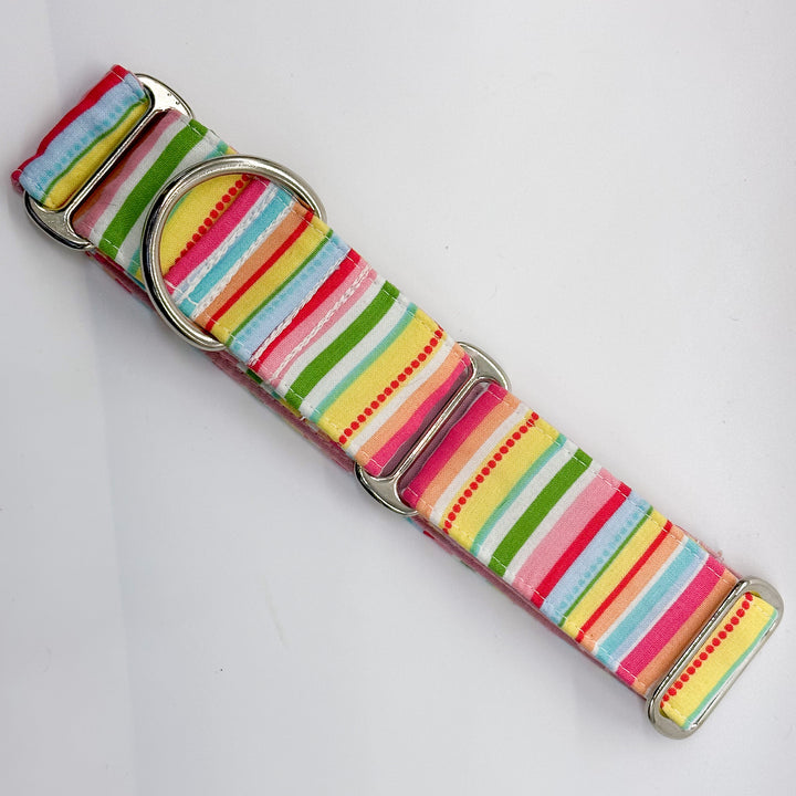 Martingale Collar - Pastel Paradise