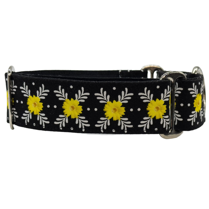 Martingale Collar - Daisy Delight Noir