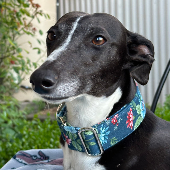 Martingale Collar - Country Garden