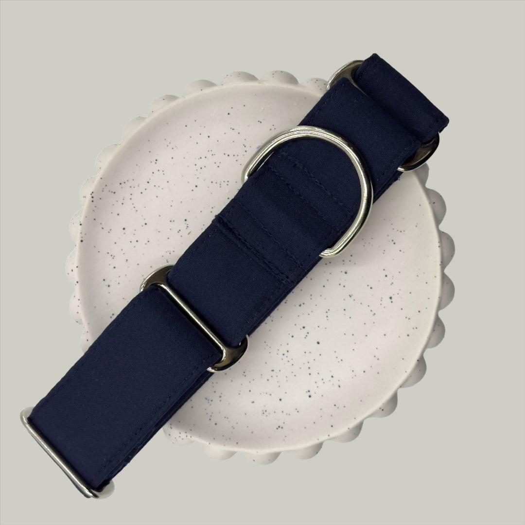 Martingale Collar - Midnight Sky