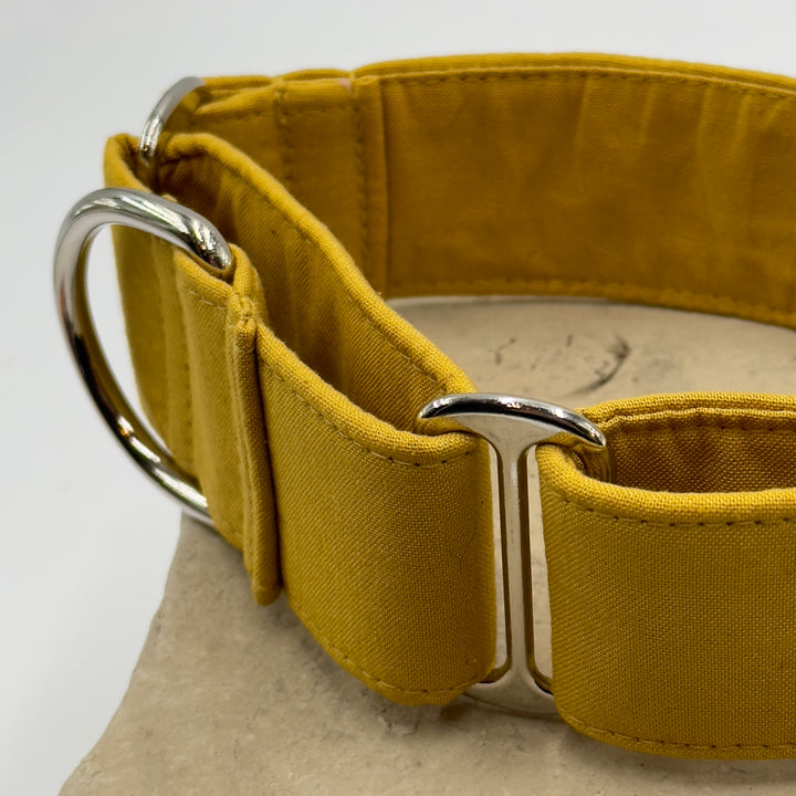 Martingale Collar - Golden Harvest