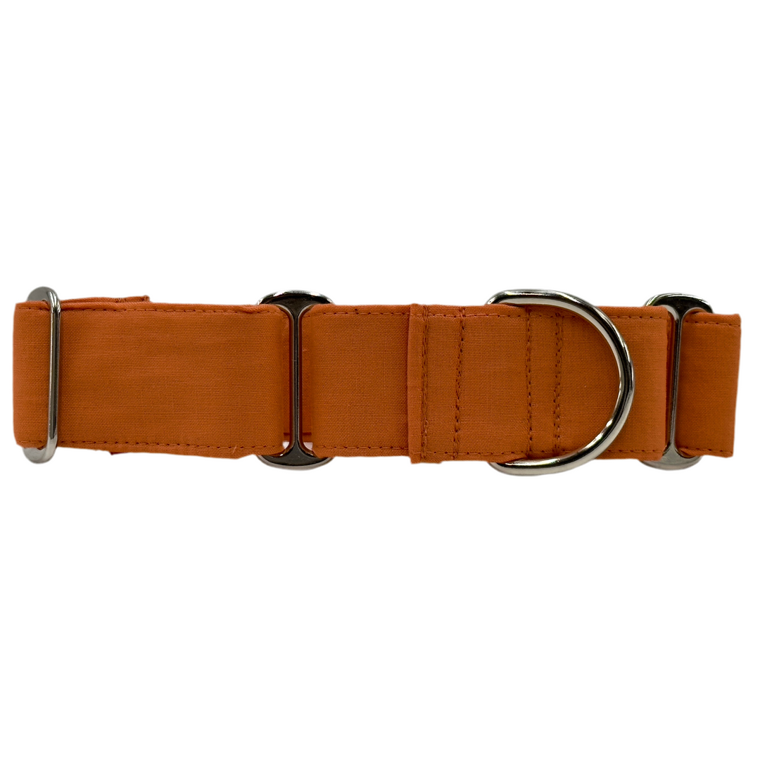 Martingale Collar - Autumn Blaze