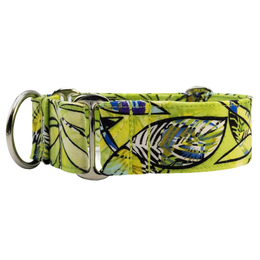 Martingale Collar - Tropical Splice