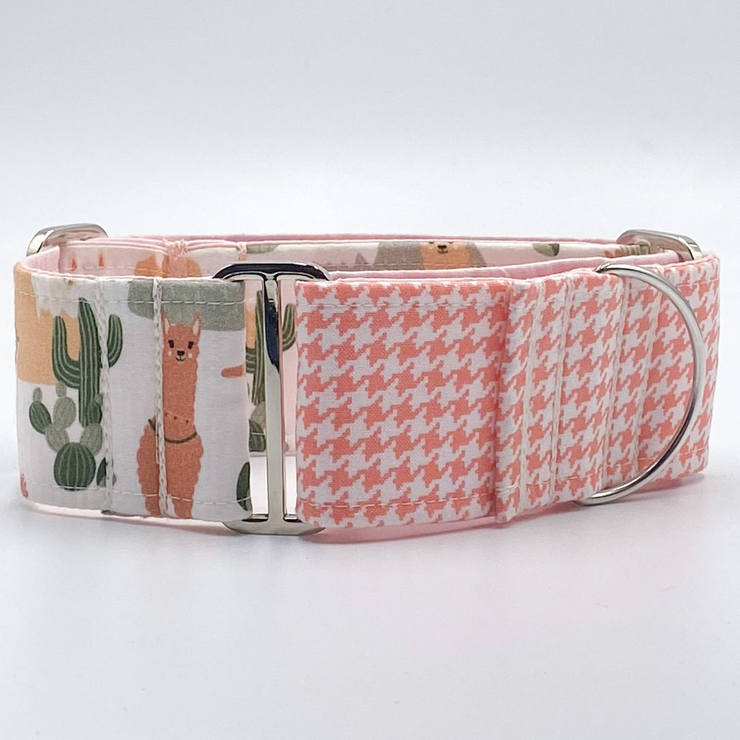 Martingale Collar - Peachy Llama Love Martingale Collar