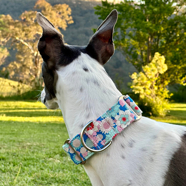 Martingale Collar - Floral Mosaic Sky Blue