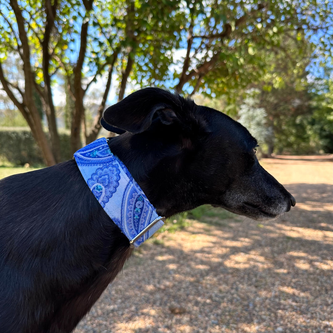 Martingale Collar - Azure Elegance